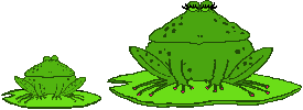 frog eat